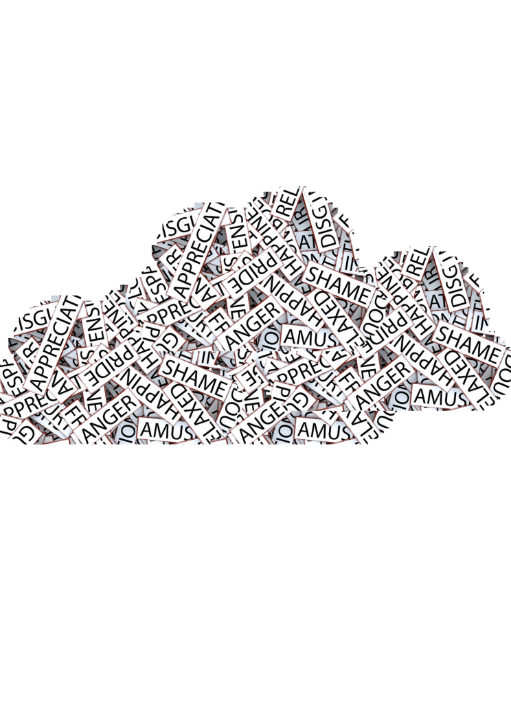 A cloud made up of various emotion labels such as 'SHAME', 'ANGER', 'DISAPPOINTMENT', 'HAPPINESS', and 'APPRECIATION' scattered throughout.